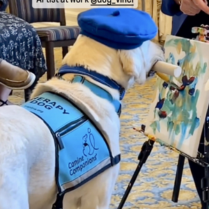 Fundraising Page: Yvonne Dagger & Picasso